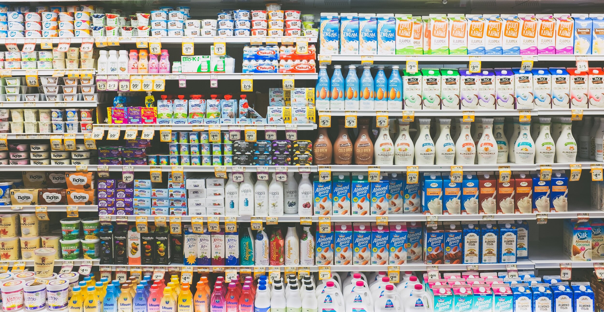 Challenging Canada’s primary food plastic packaging Problem