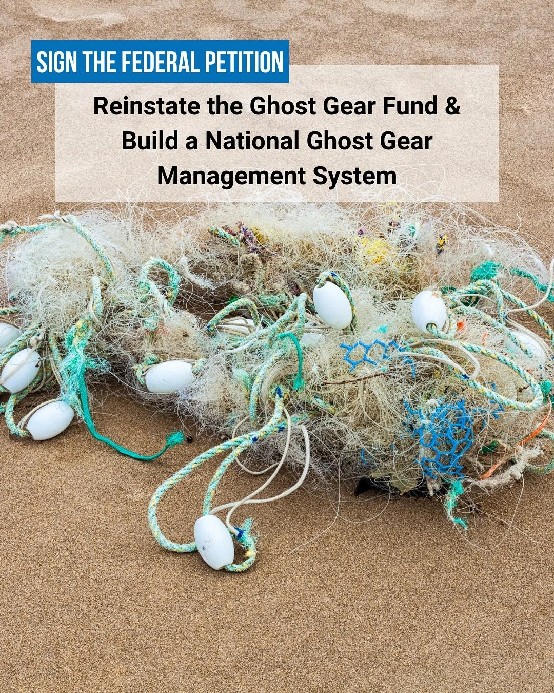 If you live on the coast or have visited the coast, then you&rsquo;ve likely stumbled upon abandoned, lost, and otherwise discarded fishing gear (ALDFG) - which comprises a significant portion of the marine debris that Surfrider and other cleanup ent