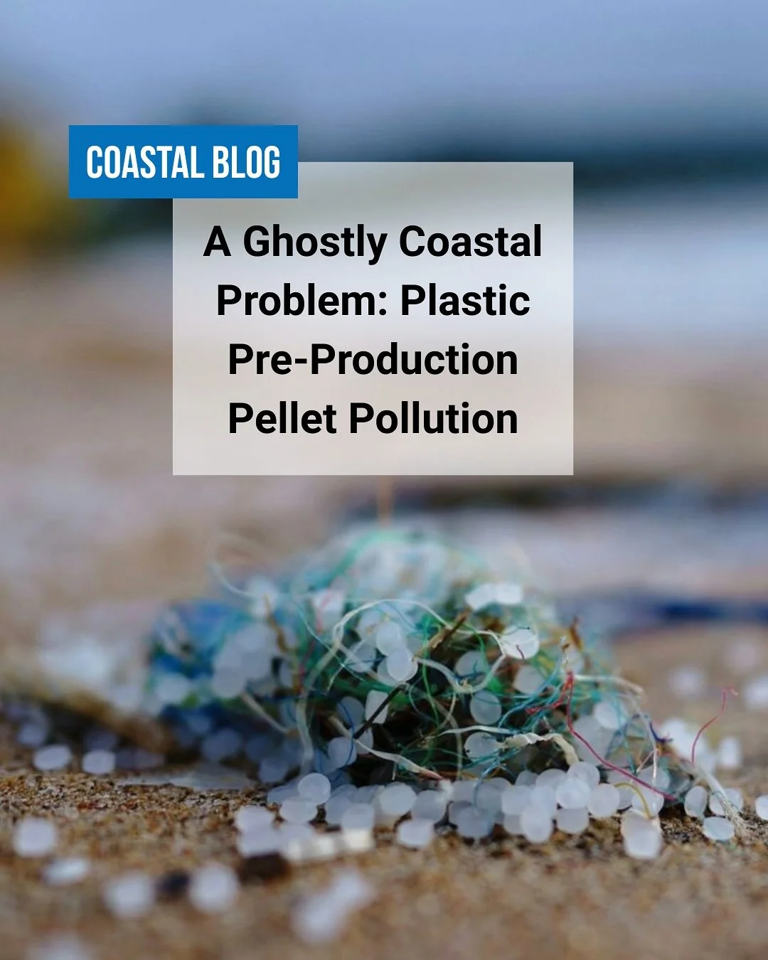 At our ReSurf event this past weekend, we met Neil McQueen, Co-Chair of Surfrider Coastal Bend @surfridersouthtexas . In these moments, it&rsquo;s a feeling of instant camaraderie, as our Surfrider network is global and when we travel - there&rsquo;s