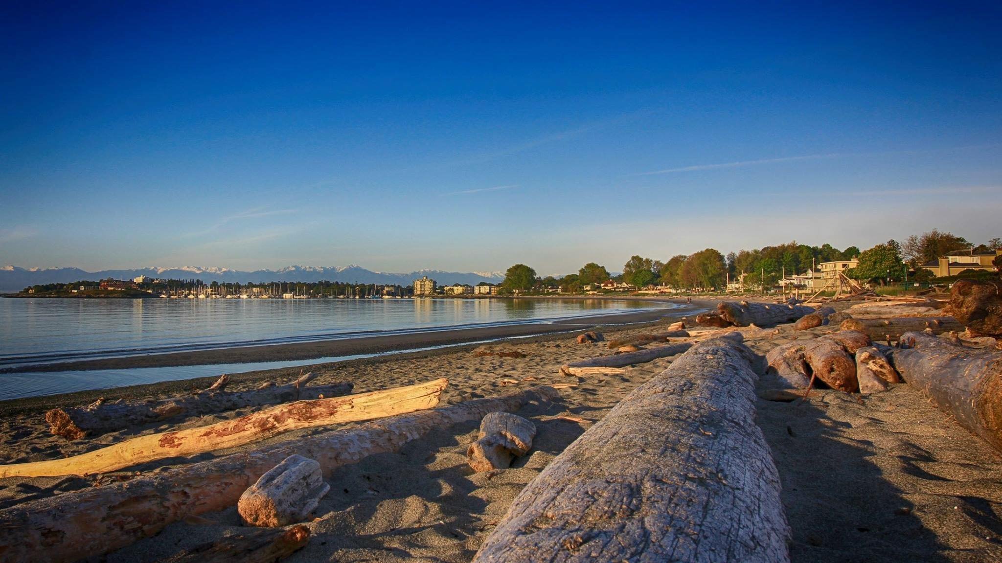 UVic Willows Beach Cleanup