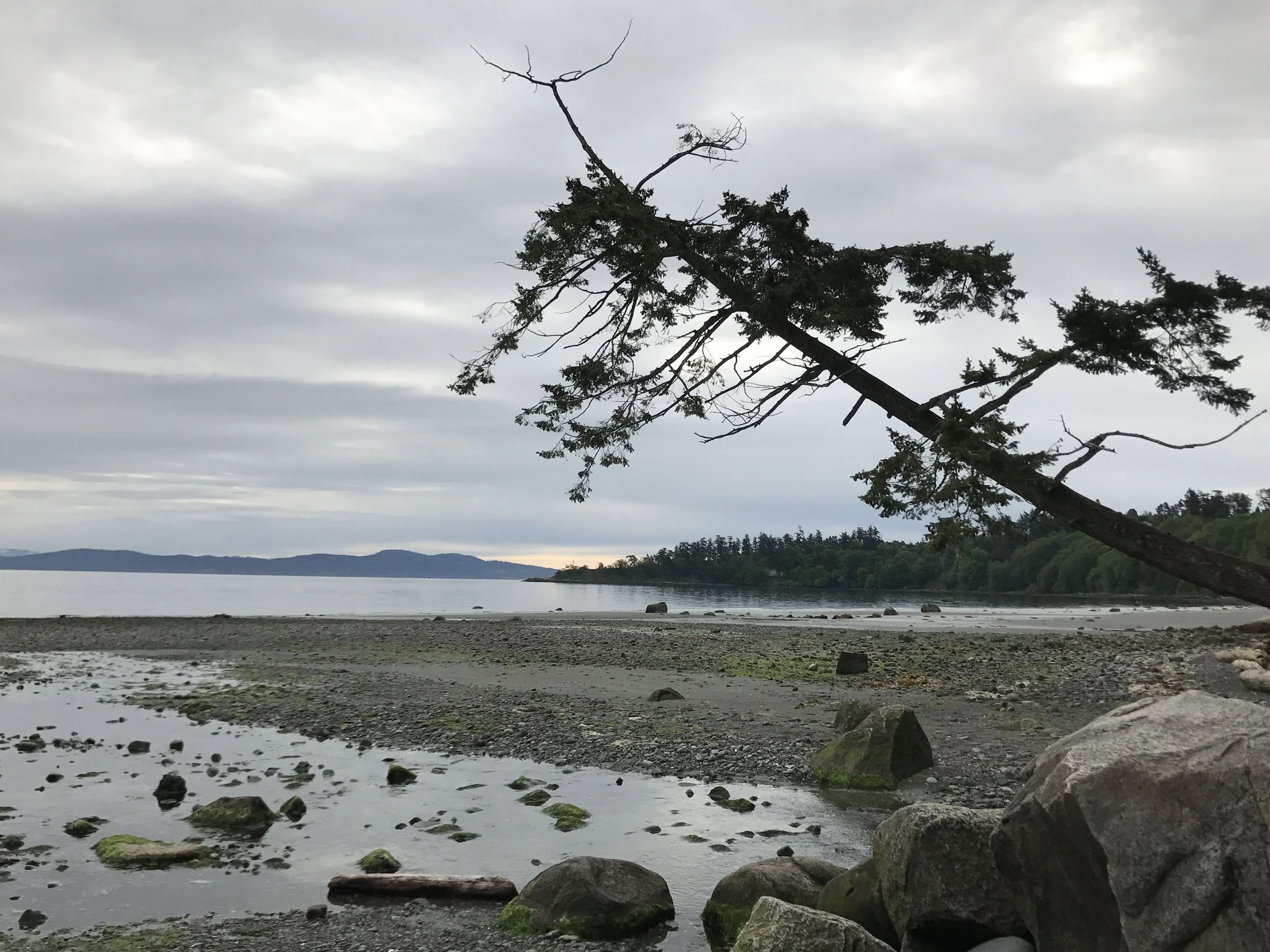 UVic PKOLS/Mt. Doug Beach Cleanup