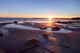 Conrad's Beach Cleanup - Surfrider Atlantic