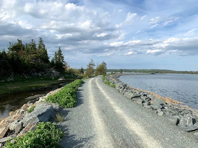 Salt Marsh TRail Cleanup - Surfrider Atlantic