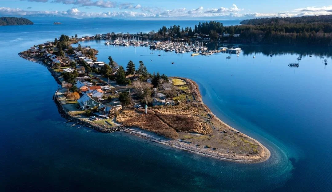 Deep Bay Beach Cleanup - Surfrider Mid Island