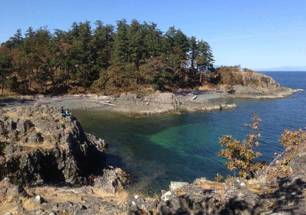 Pipers Lagoon Beach Clean - Surfrider Mid Island