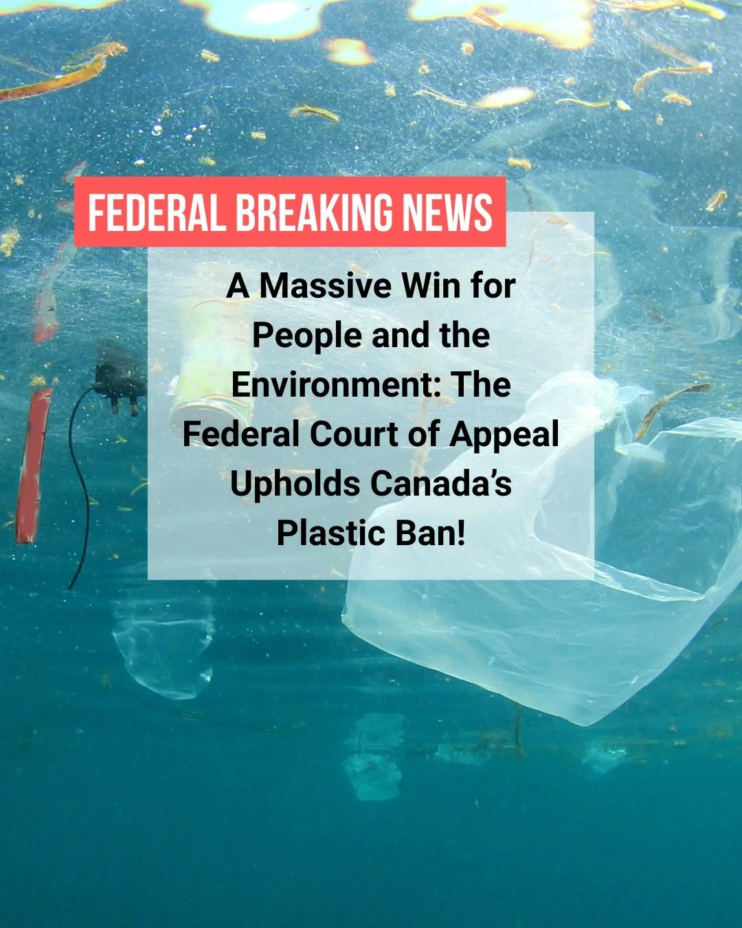 We&rsquo;ve got big news to celebrate for plastic reduction in Canada 🎉💙

The Federal Court of Appeal has upheld the federal government&rsquo;s decision to recognize plastics as toxic under the Canadian Environmental Protection Act, a major step th