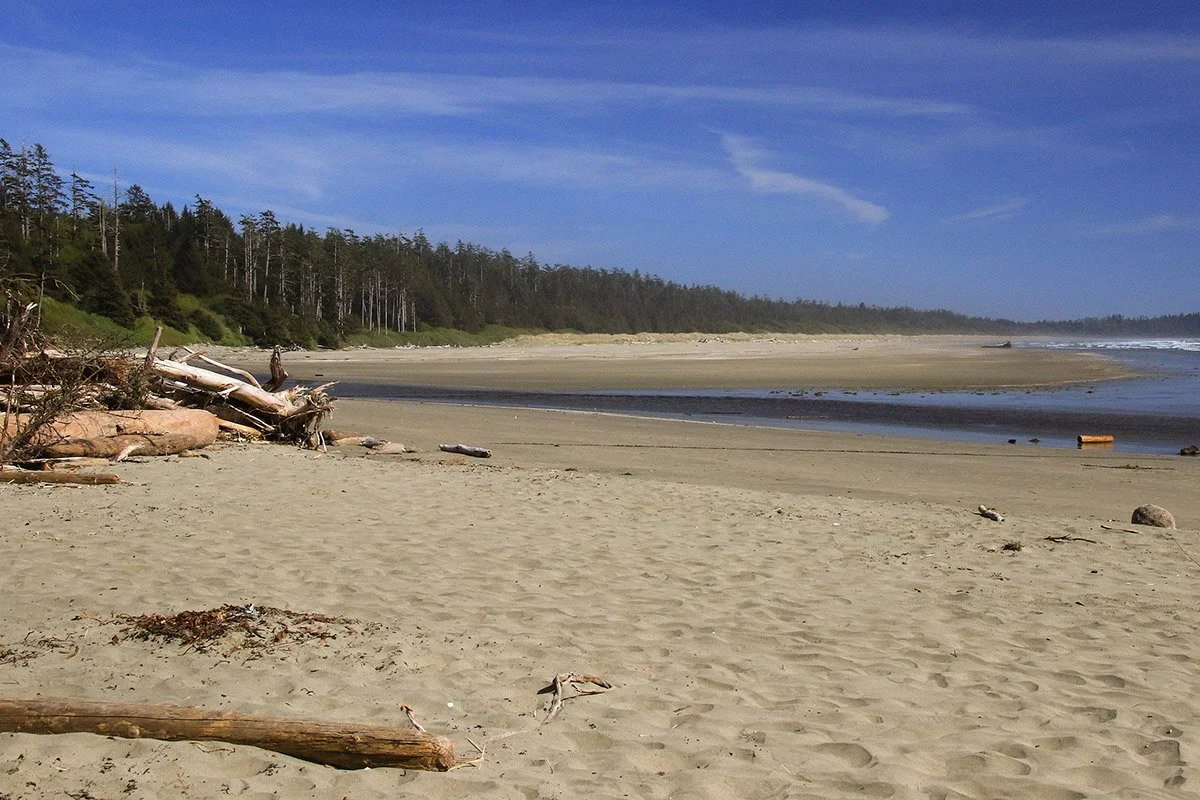 Combers Beach Cleanup - Pacific Rim Whale Fest