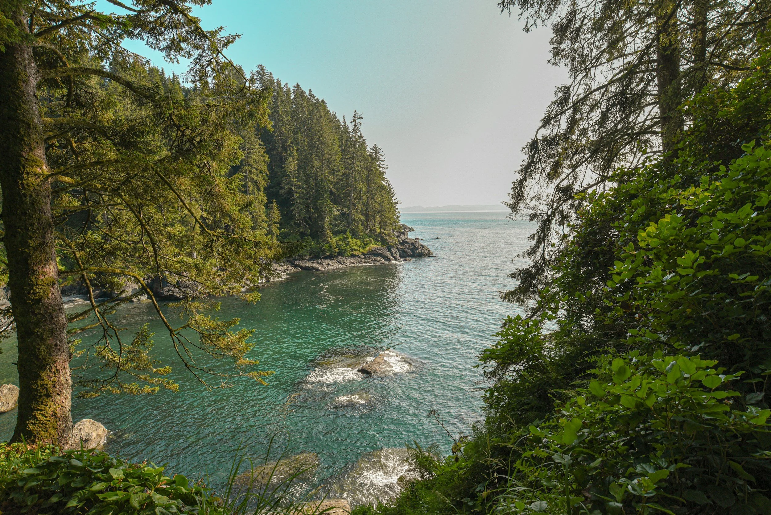 Finding My Way to the Coast (and the People Who Protect It)