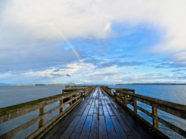Sidney Pier Underwater Cleanup