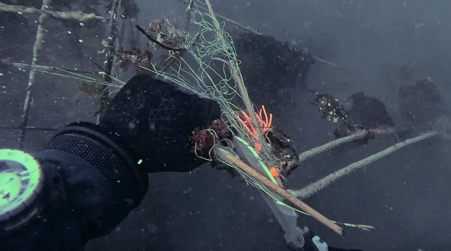 Divers remove 250 kg of abandoned fishing gear from beneath Sidney Pier