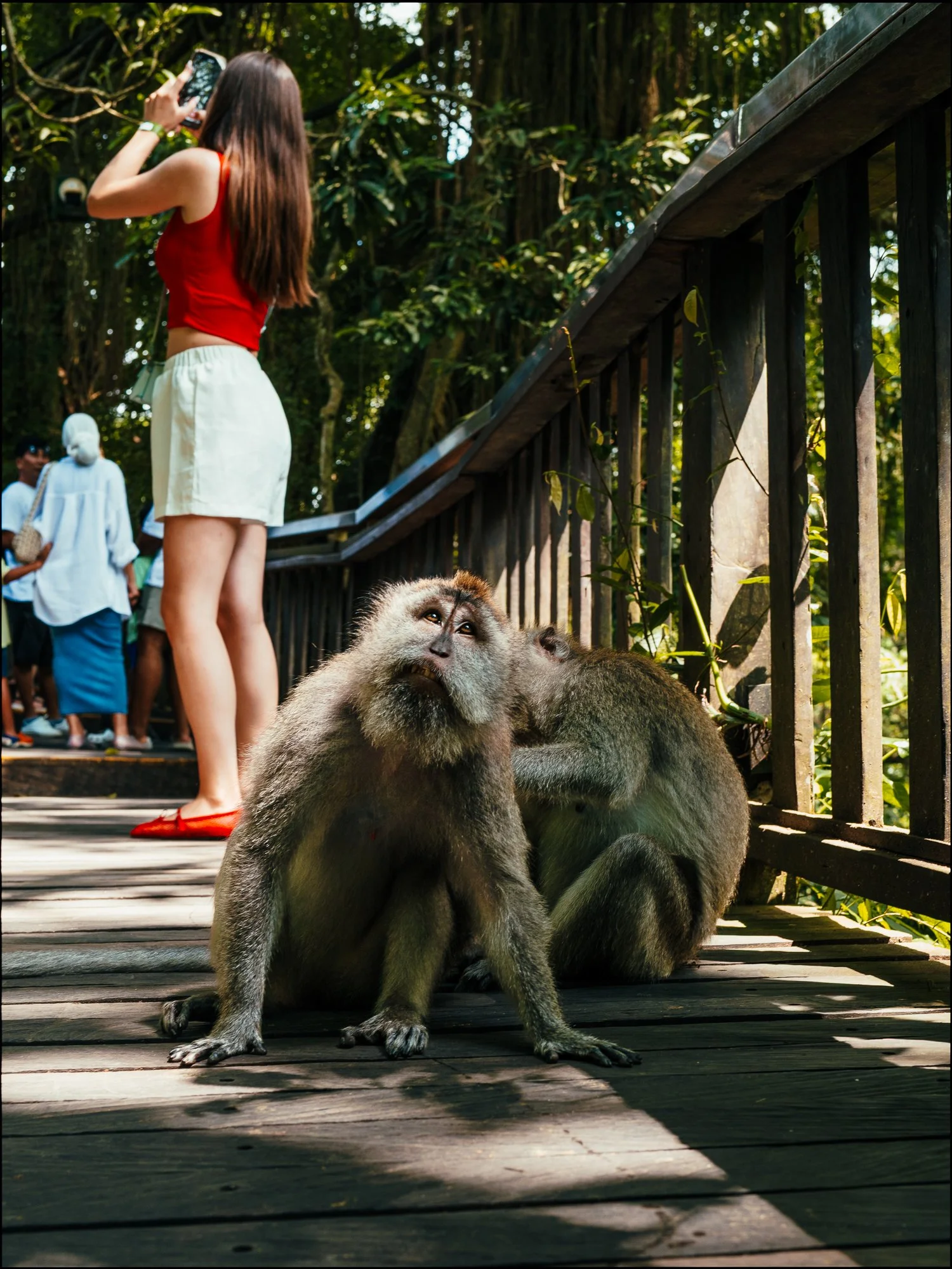 Bali-9.jpg