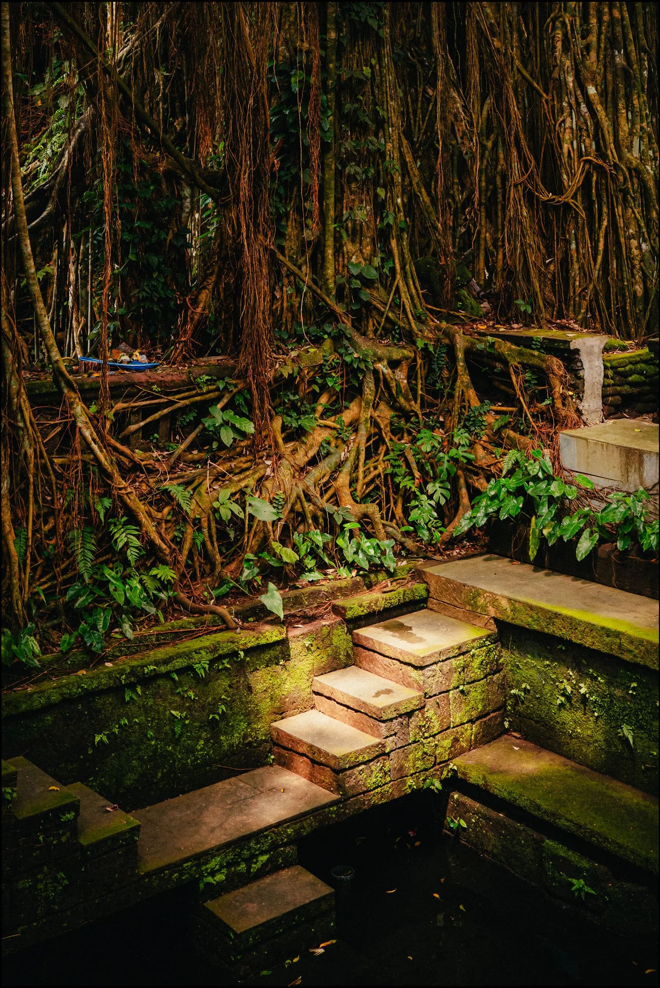 Bali-8.jpg