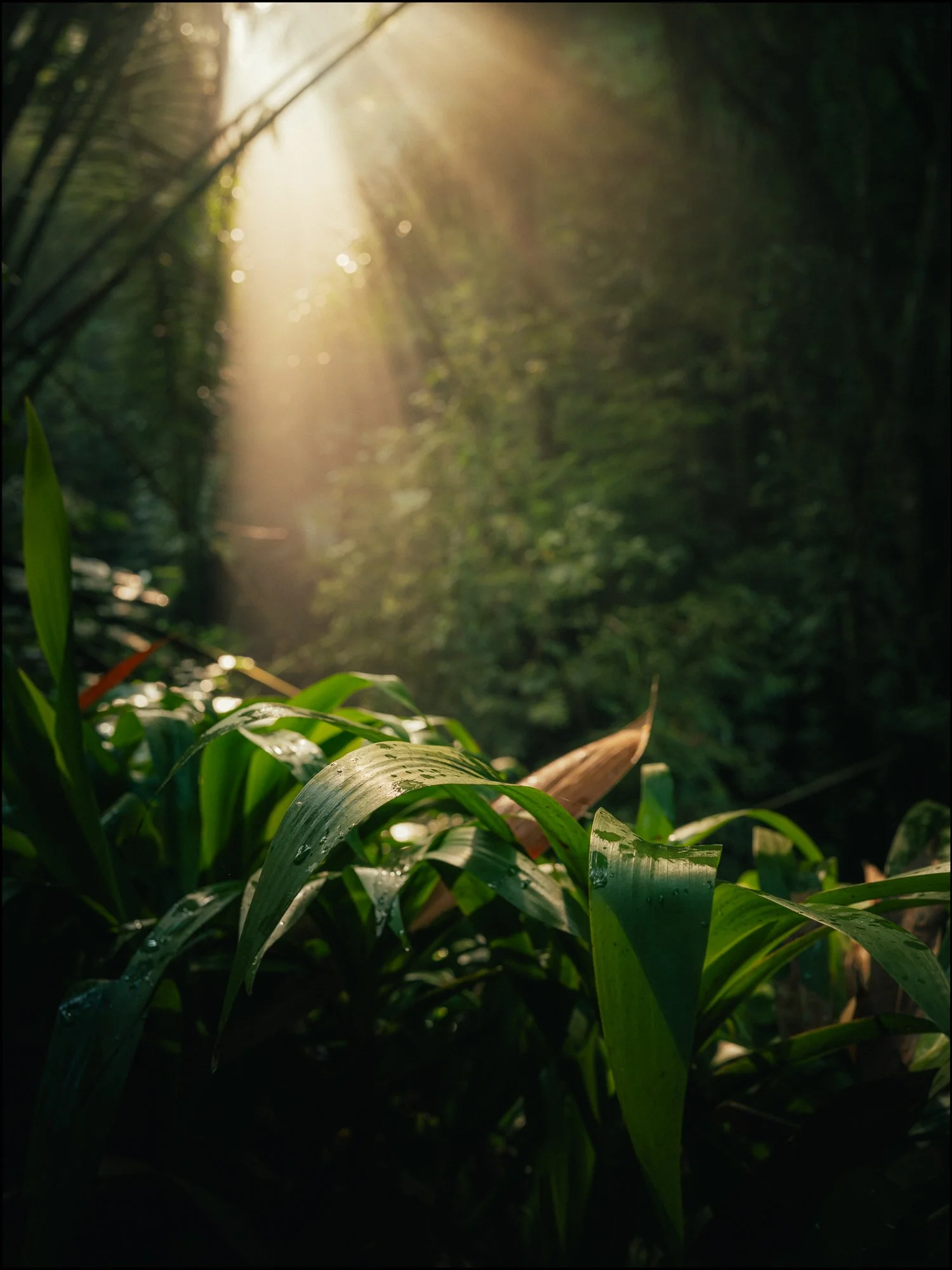 Bali-21.jpg