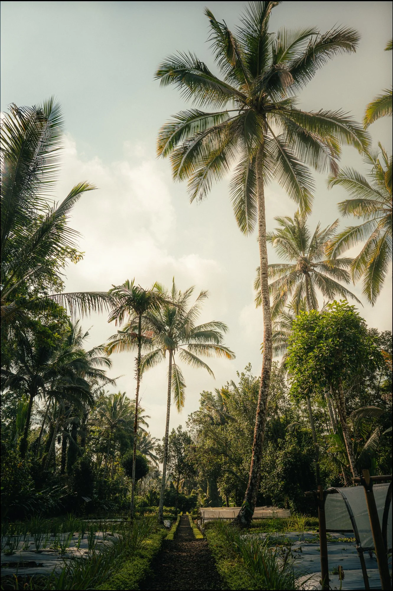 Bali-18.jpg