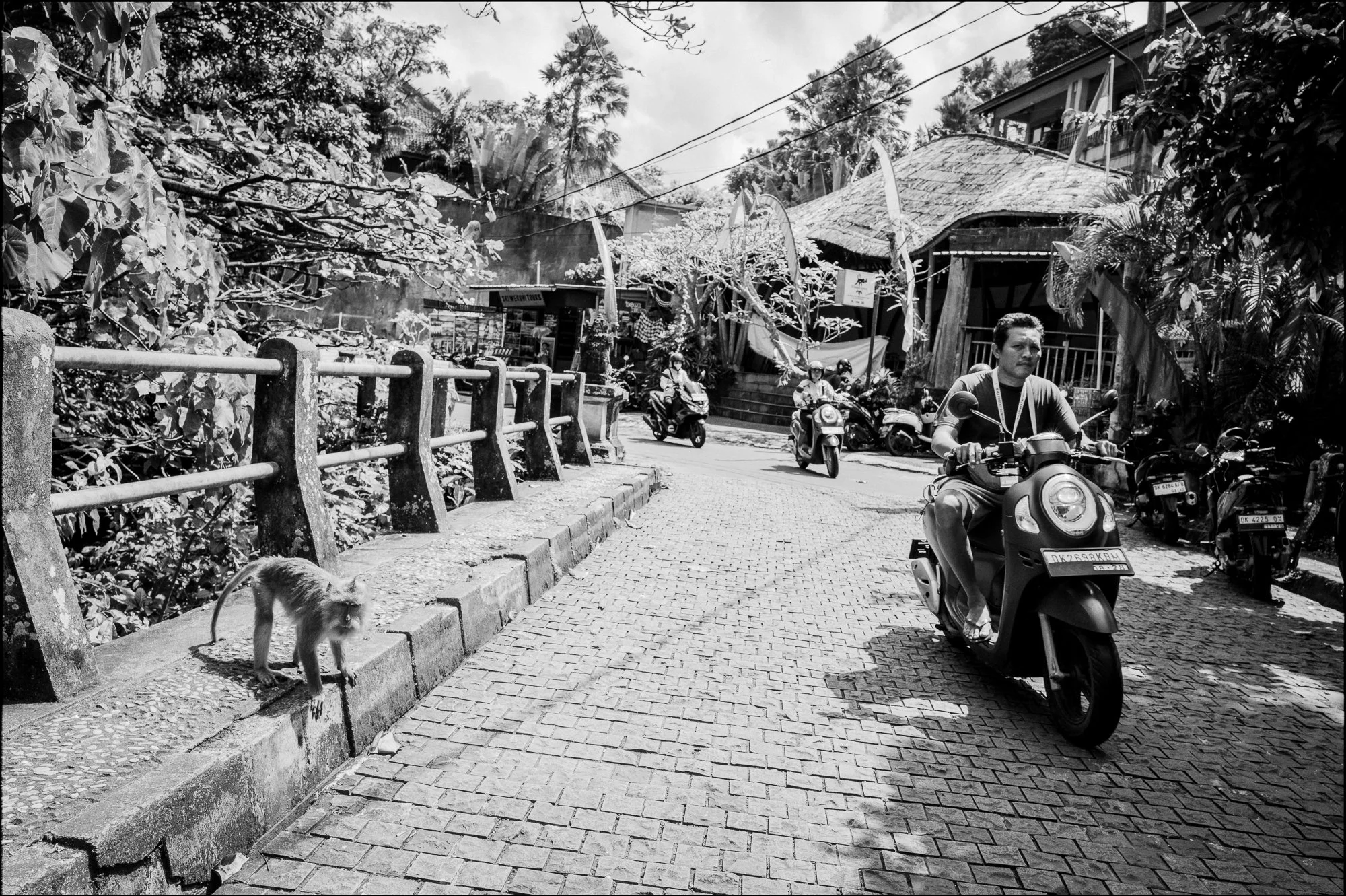 Bali-6.jpg