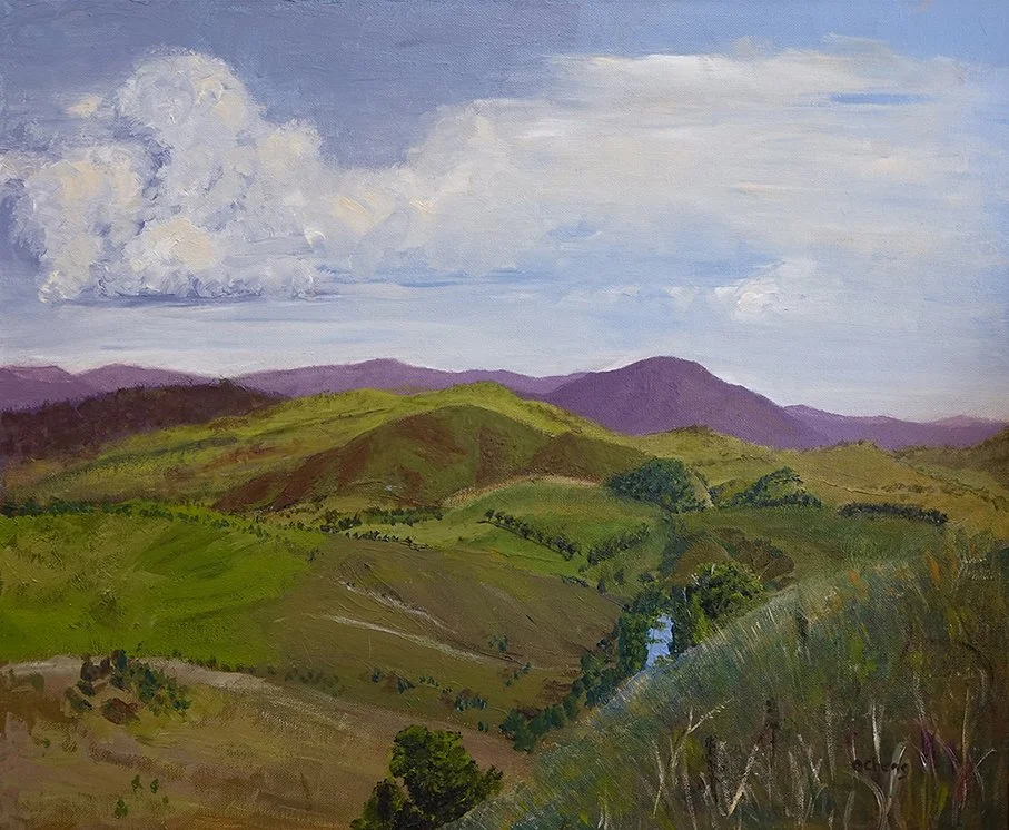Bush capital Acrylic 50x60cm.jpg