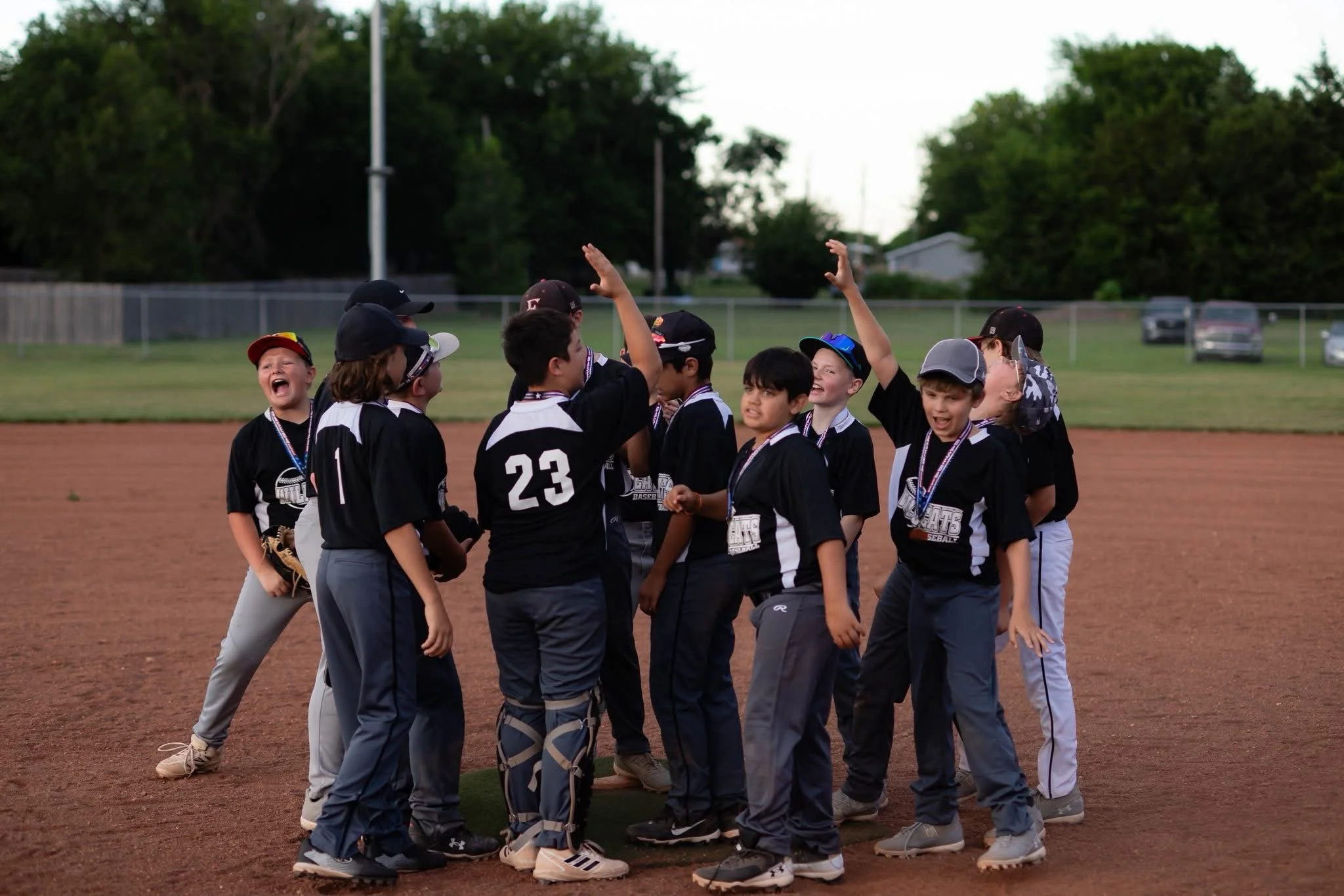 Baseball Registration