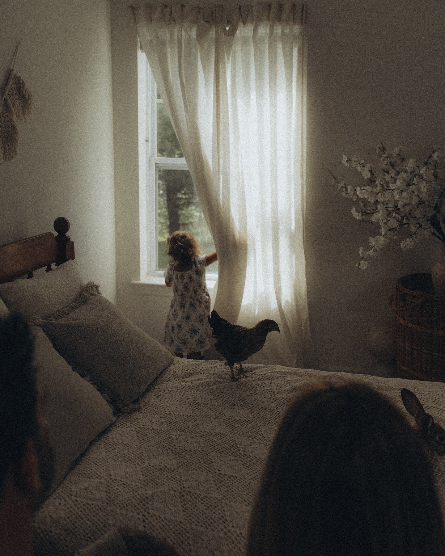 Turning two with her little friends 🐓2️⃣
Child session