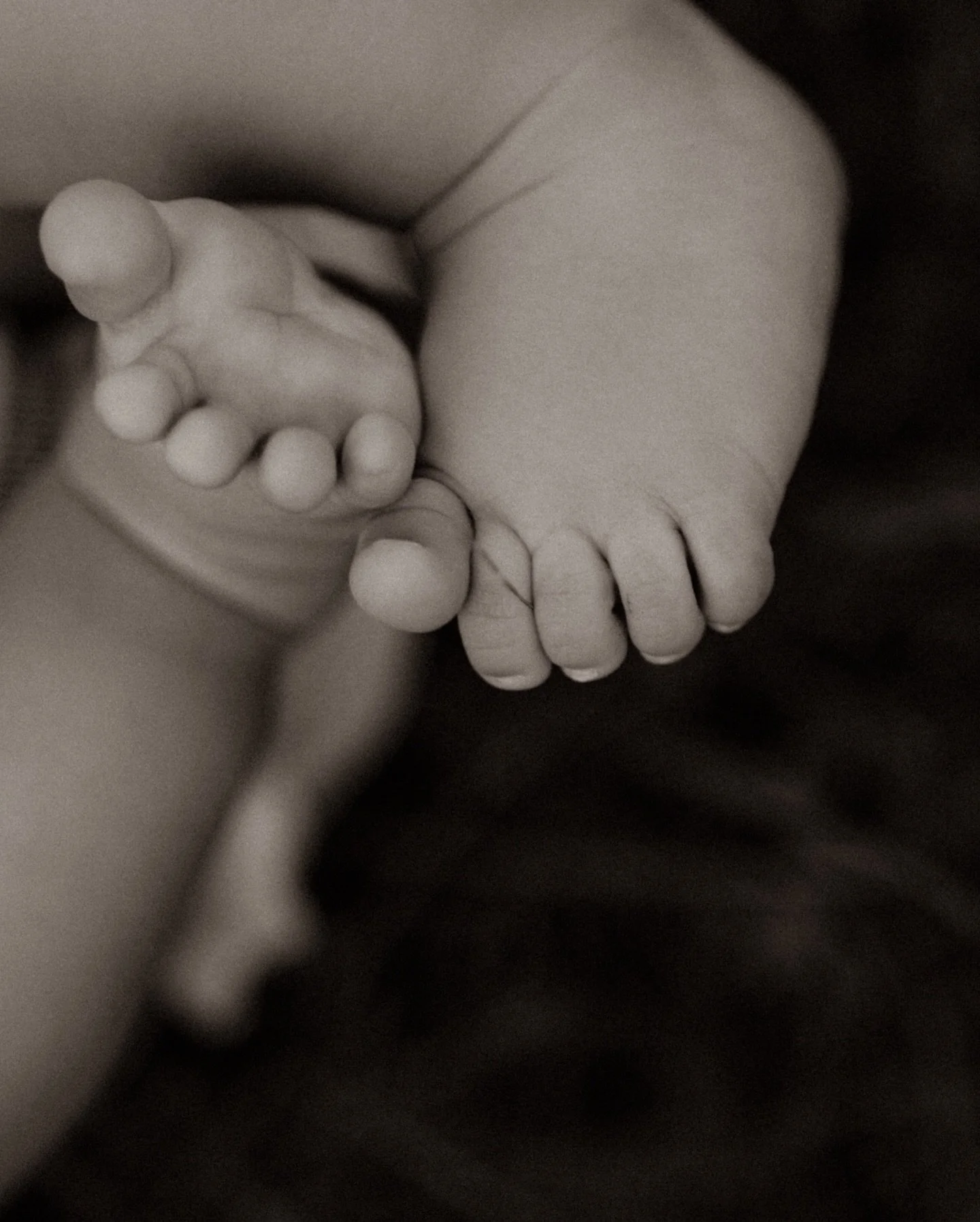 6 months at field on summer 
💫🍃🌞
Family photoshoot