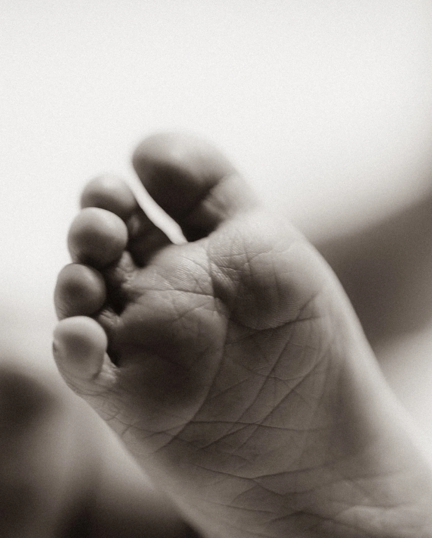 &ldquo;Where genuine love exists, peace follows.&rdquo;
Family photoshoot
🌸💖✨💌🪿