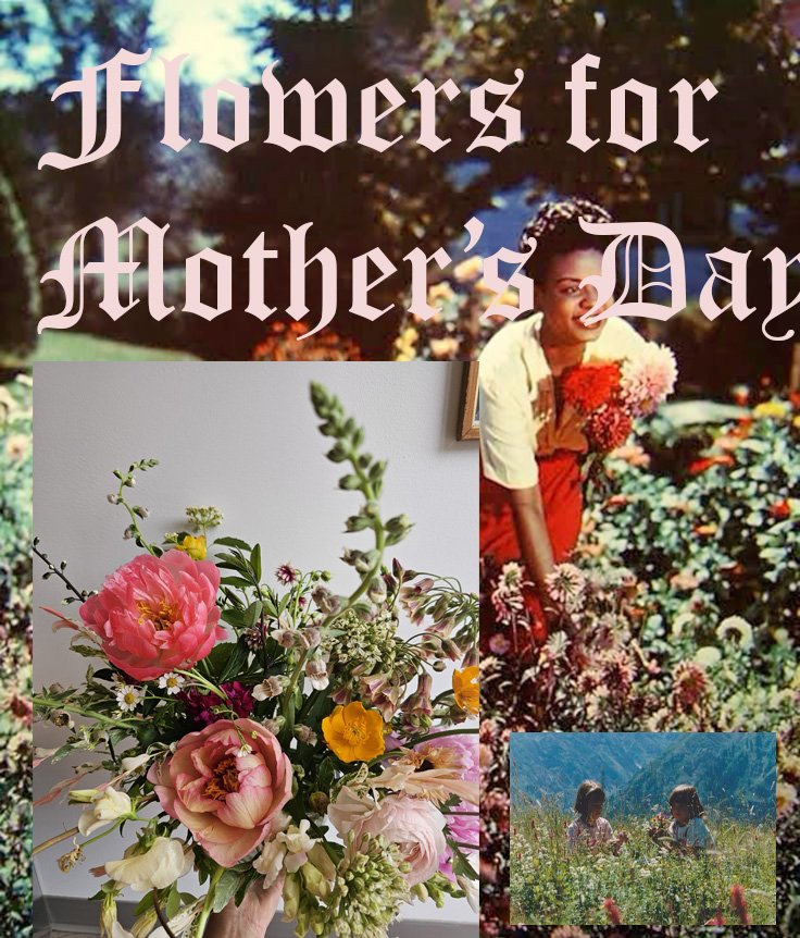 mothers 3.jpg