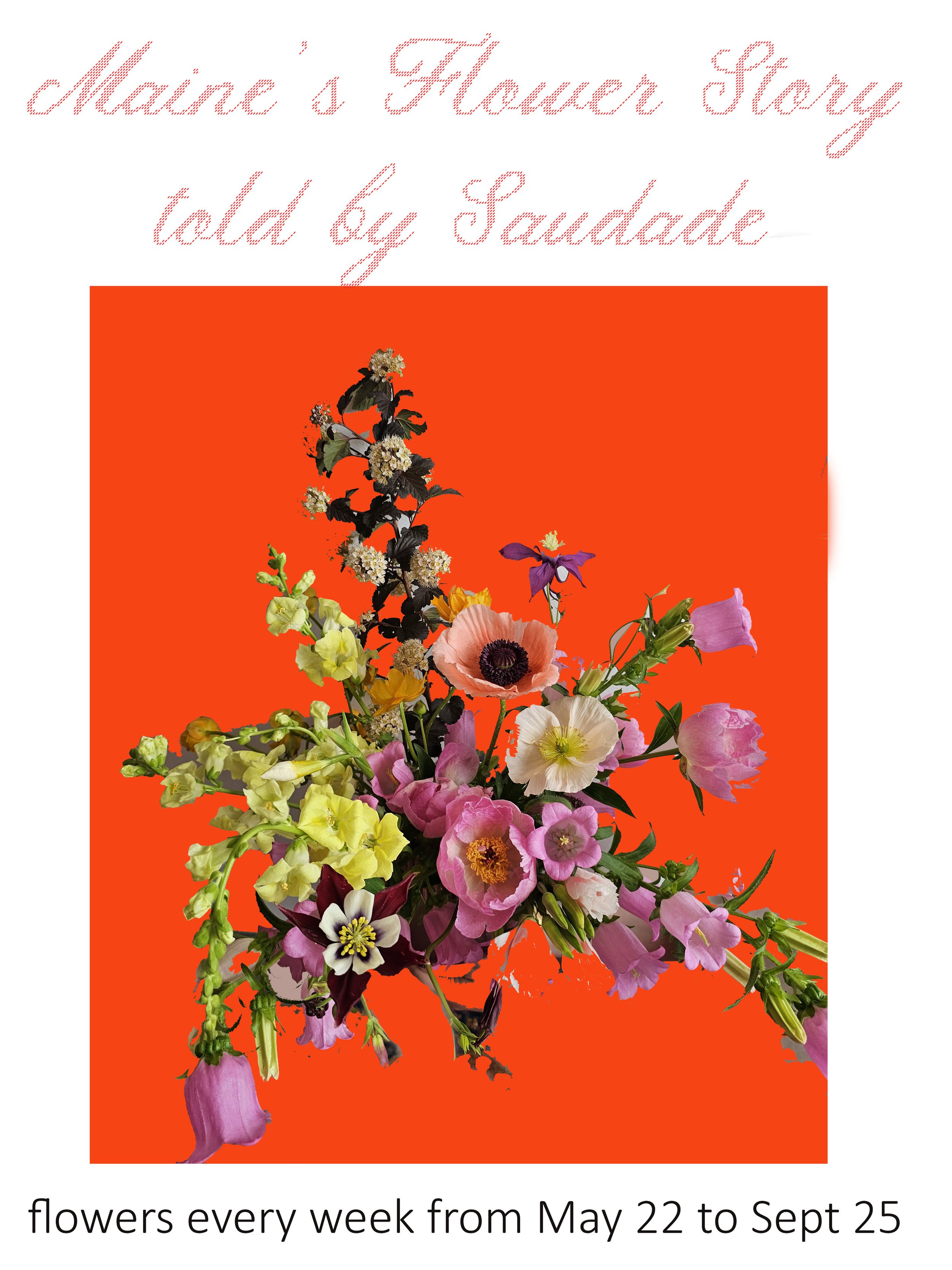 MAINES FLOWER STORY.jpg