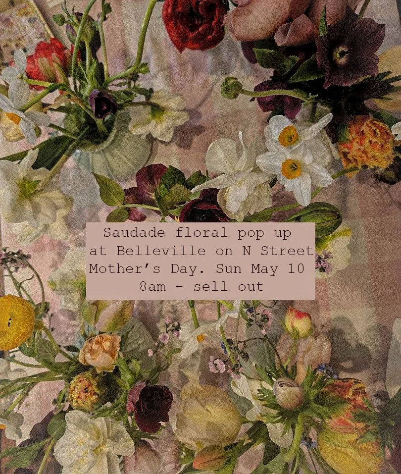 saudade belleville.jpg