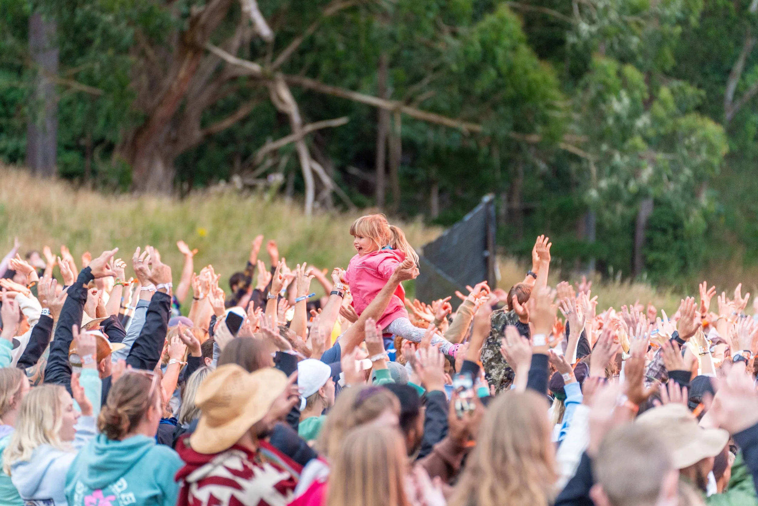 festivalonecompressed-15.jpg