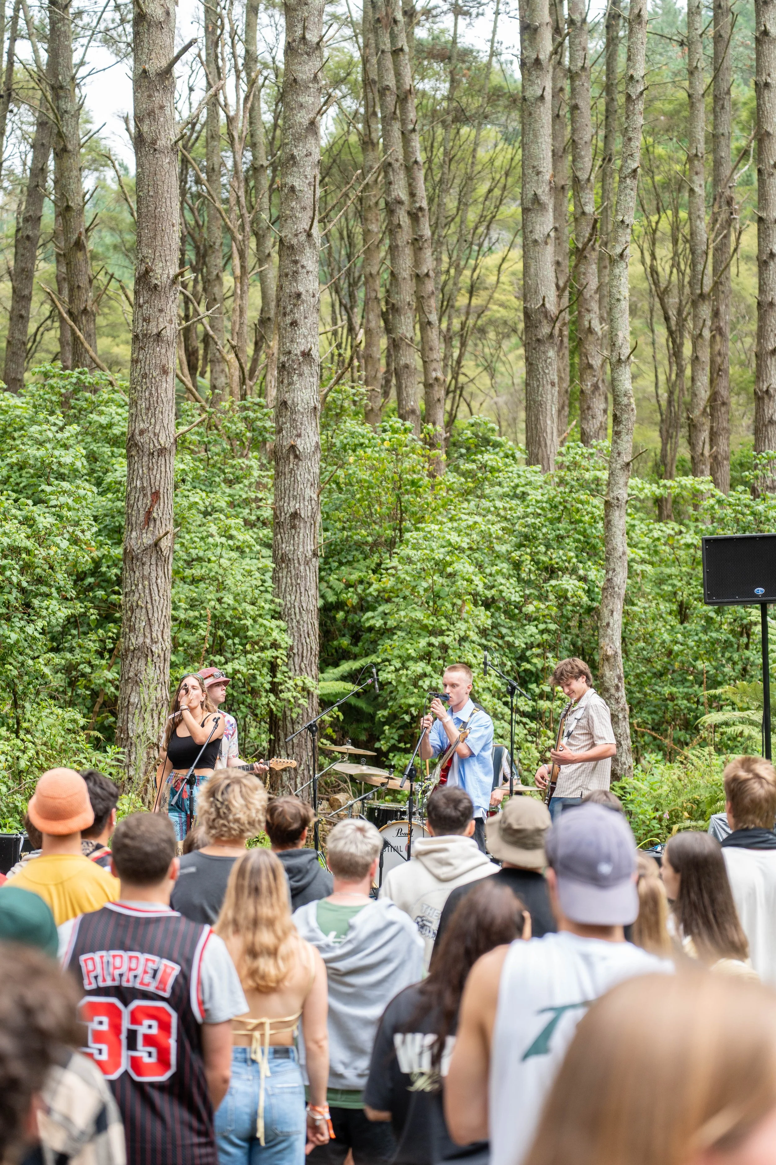 festivalonecompressed-4.jpg