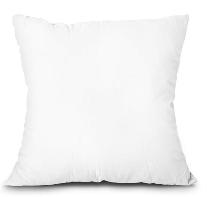 18 x 18 inch pillow