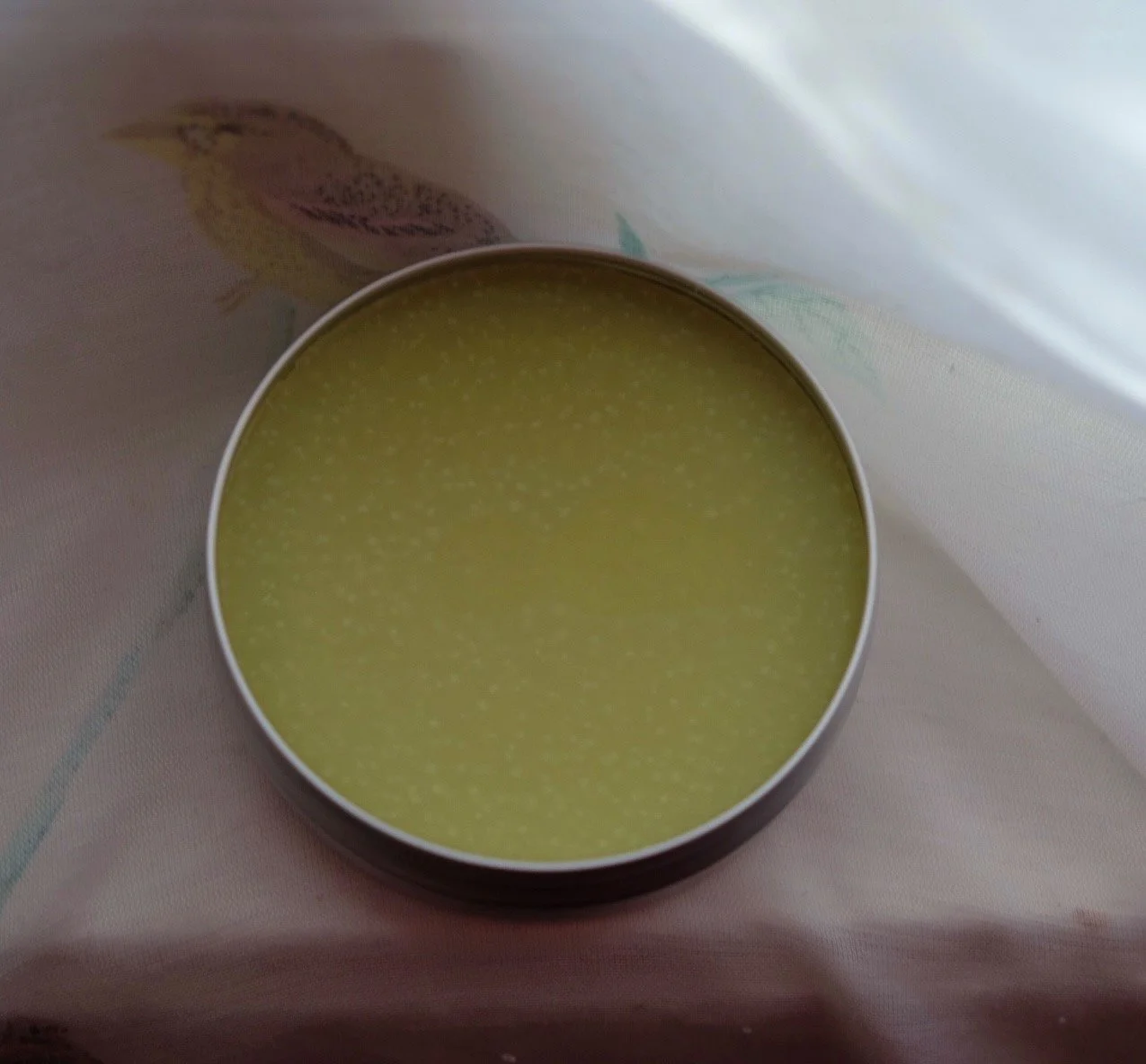 FullSizeRender_VSCO 2.JPG