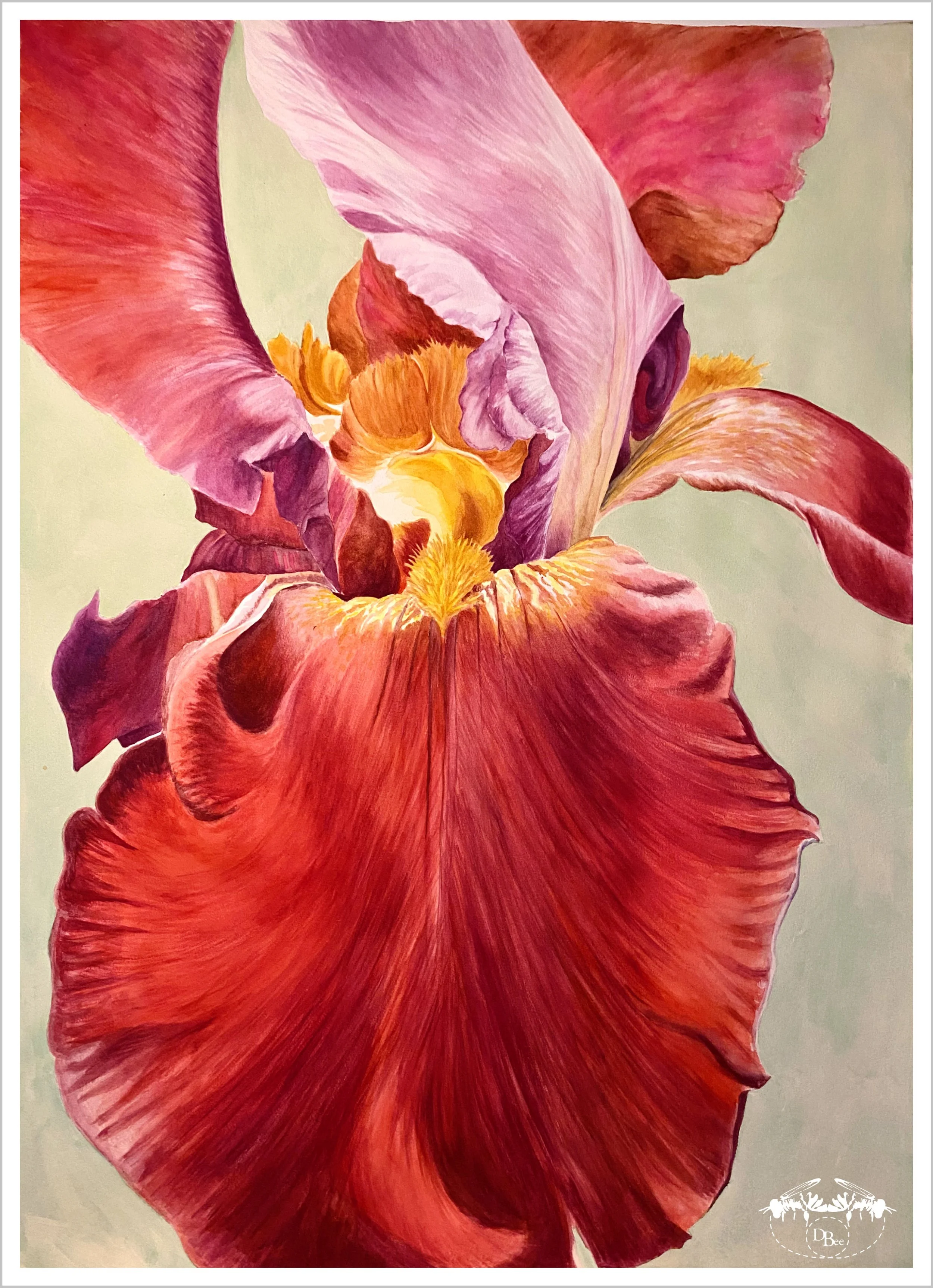 Iris_MG_0610.jpg