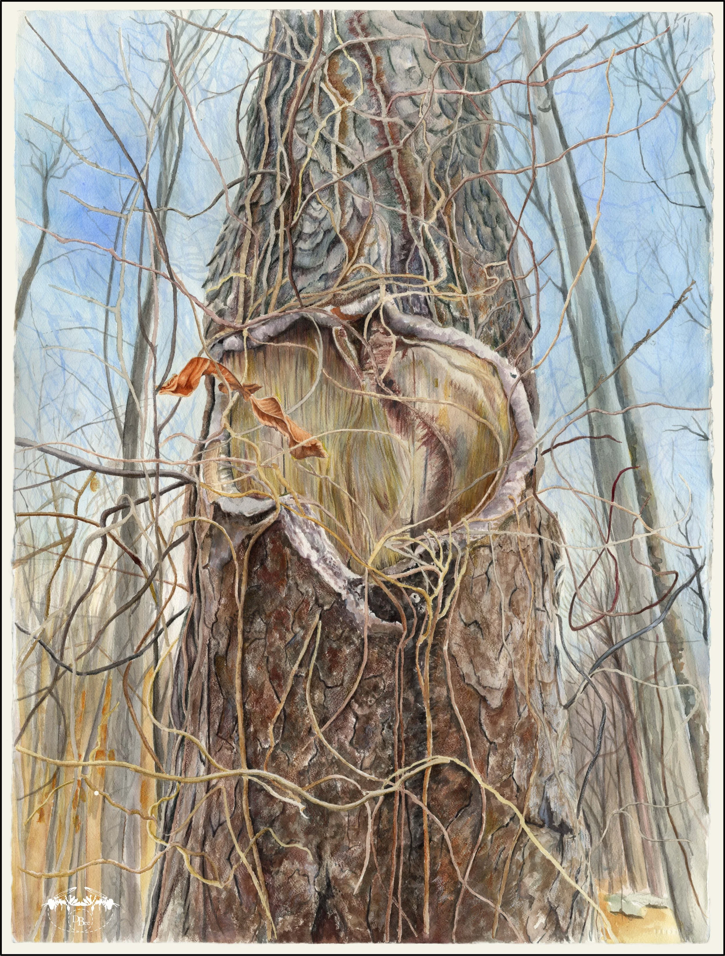 Tree Heart-FLAT.jpg
