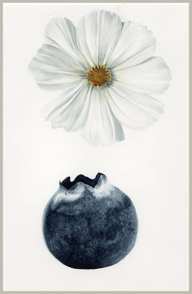 Flower and Blueberry.jpg