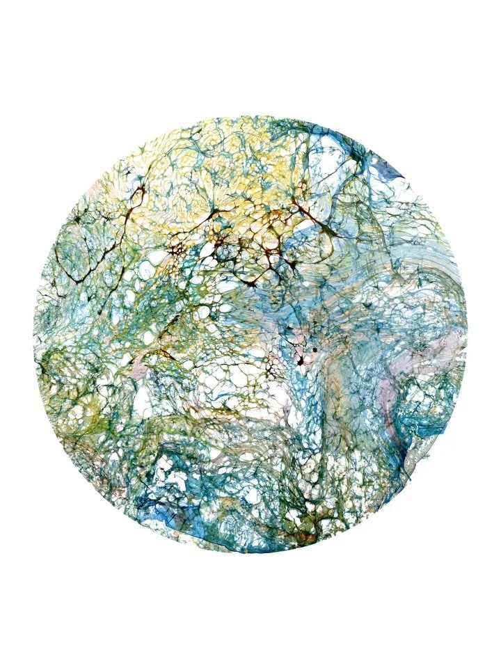 Untitled Planet No. 47 (2025)
30 x 30 inches &mdash;

A whole world born in seconds.
What begins as water and pigment colliding turns into something that feels both microscopic and cosmic. A reminder that chance often reveals more than control ever c