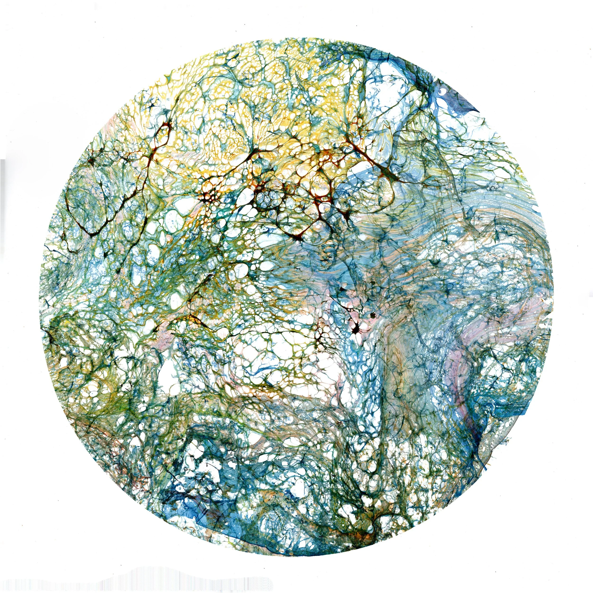  Untitled Planet No. 48, 2025 (24"x24")