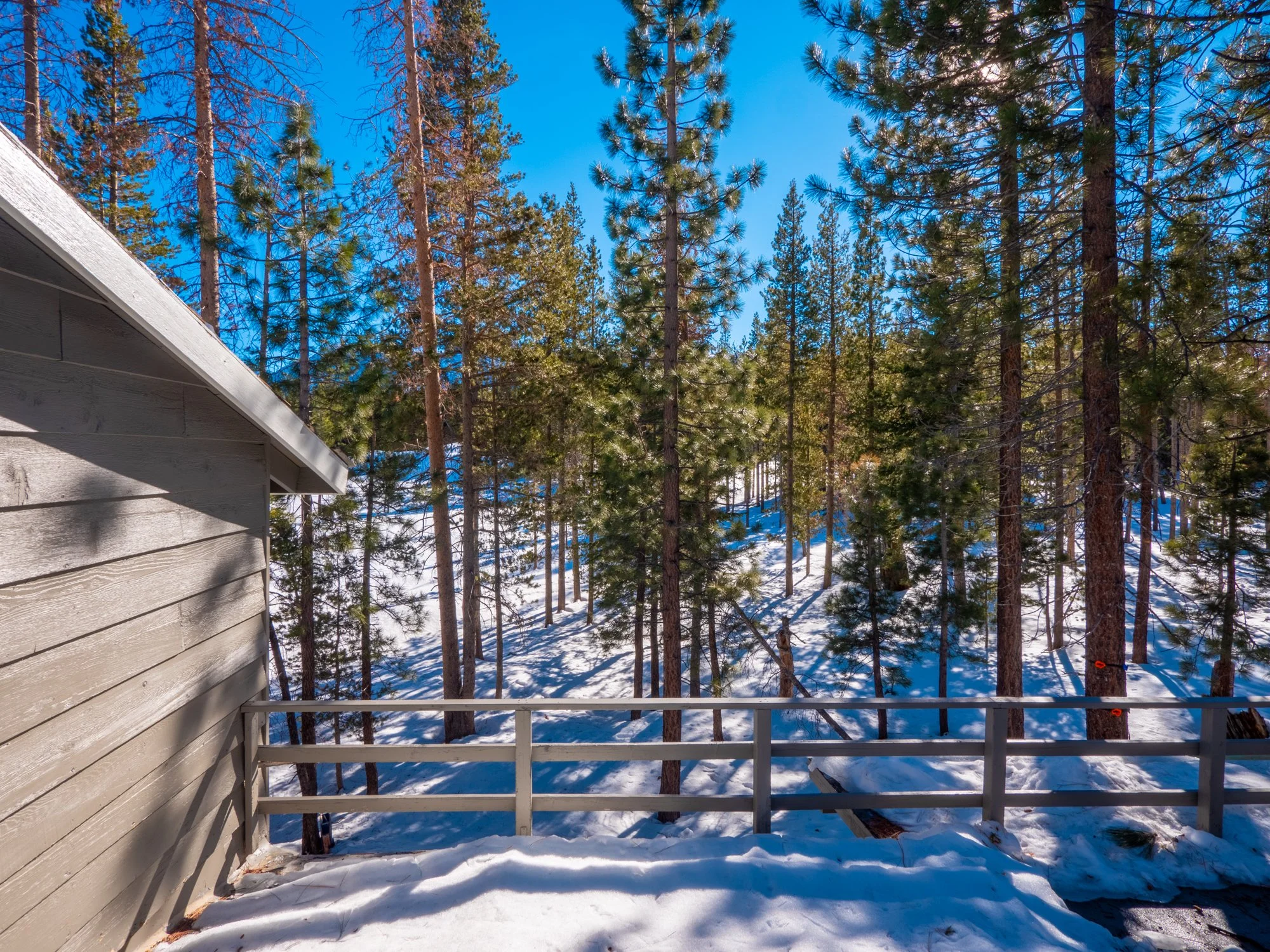 Rooms — Cinnamon Bear Inn