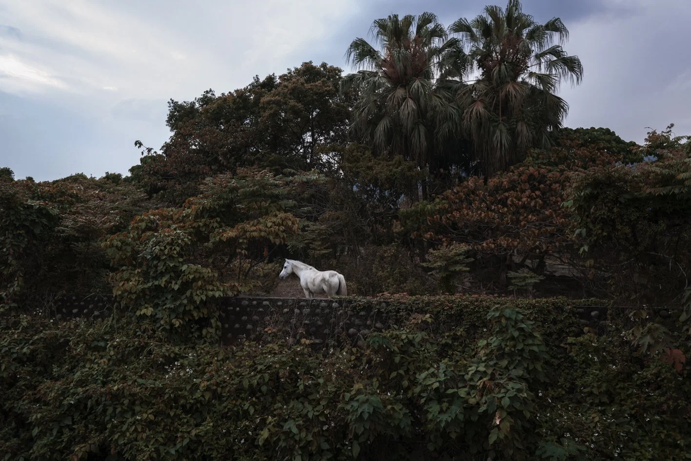 Taiwan between Dog and Wolf (98).jpg