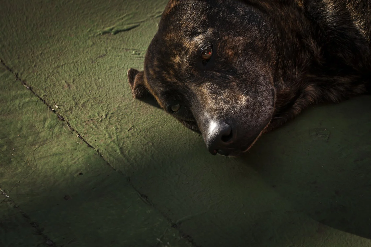 Taiwan between Dog and Wolf (54).jpg