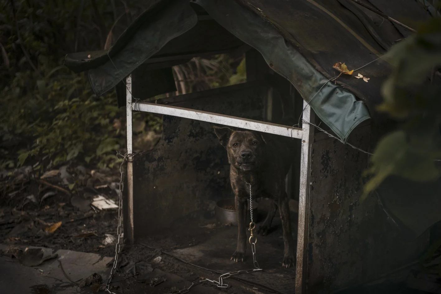 Taiwan between Dog and Wolf (67).jpg