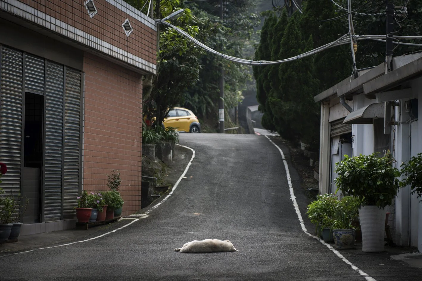 Taiwan between Dog and Wolf (34).jpg