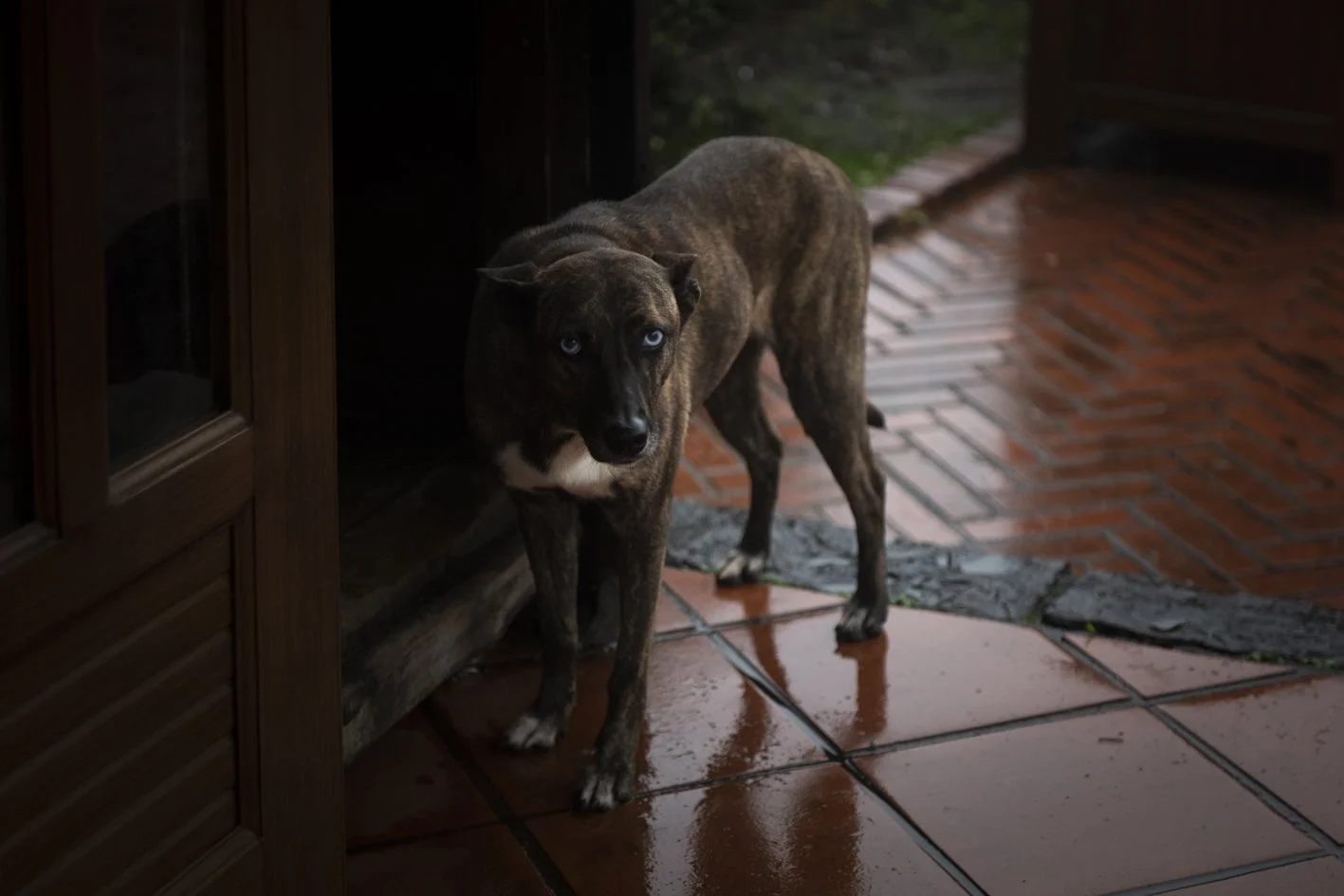 Taiwan between Dog and Wolf (64).jpg