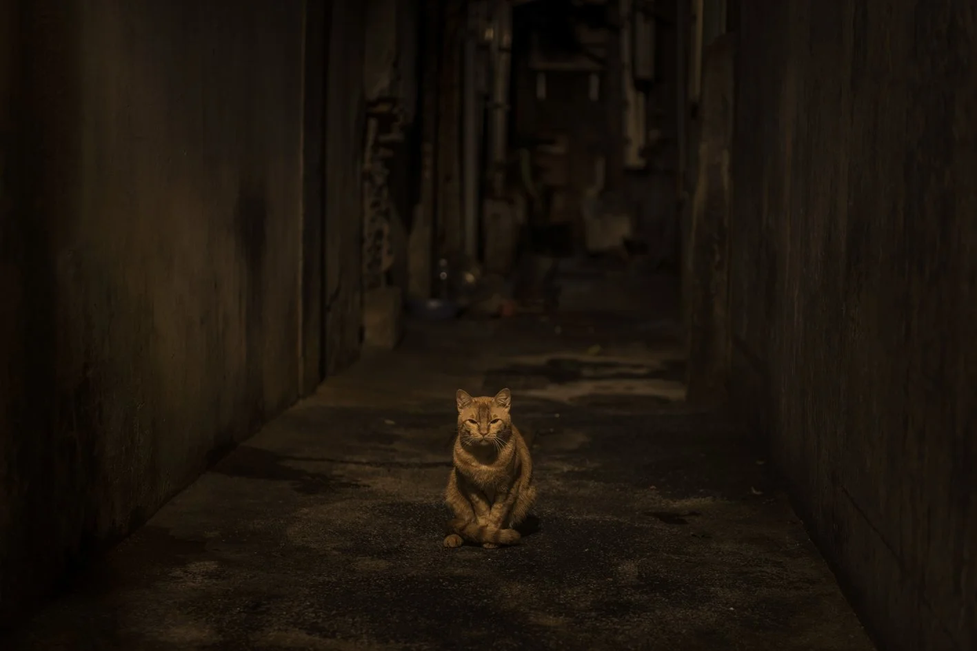 Taiwan between Dog and Wolf (84).jpg
