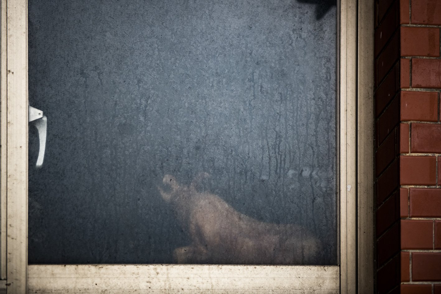 Taiwan between Dog and Wolf (65).jpg