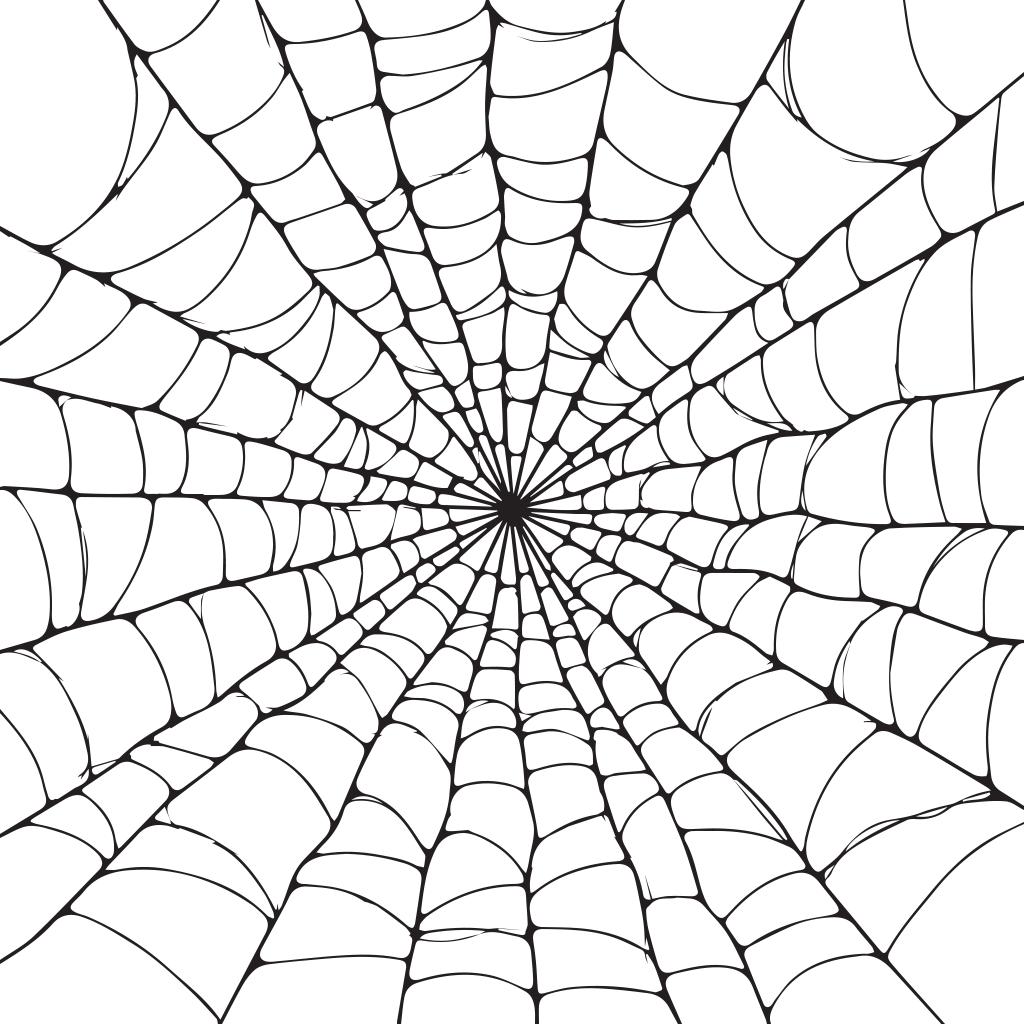 Black spider web pattern with white lines on black background.