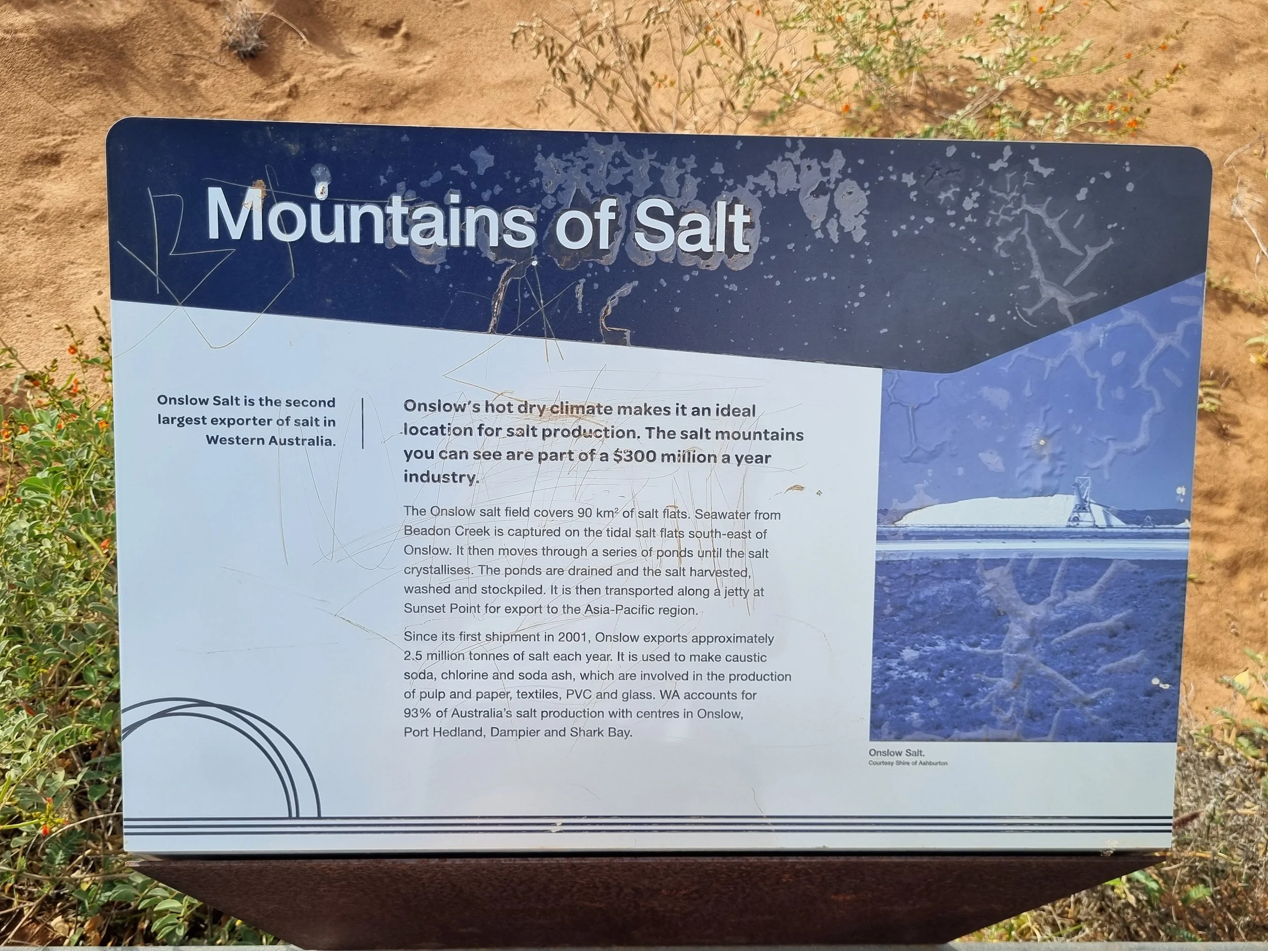 20230803_150111.jpg