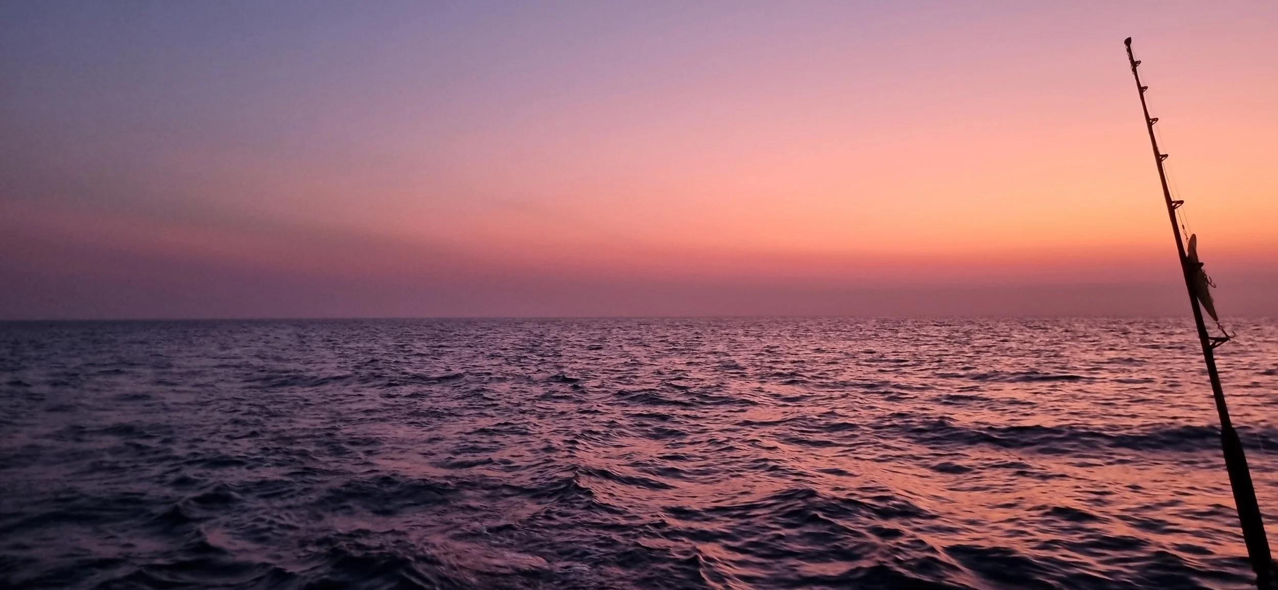 20241008_174103.jpg