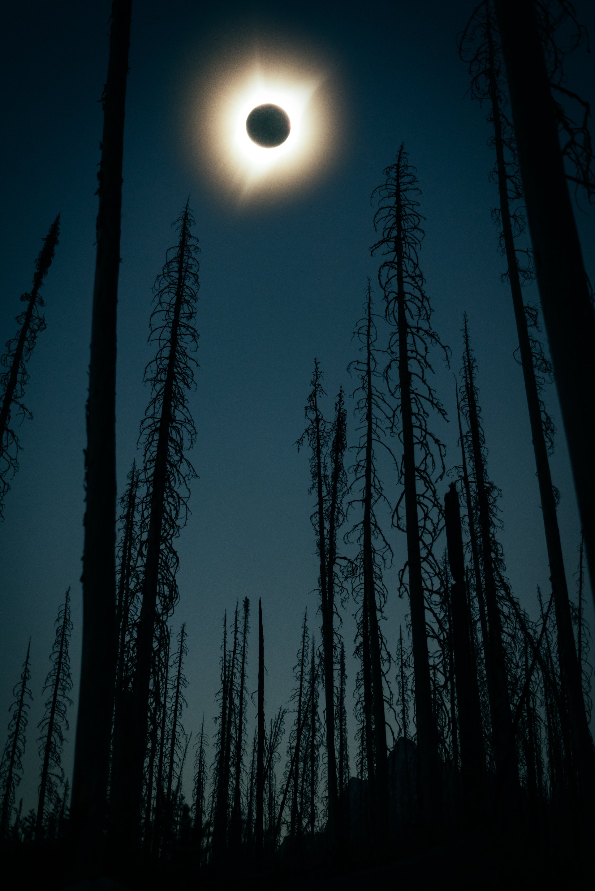 Eclipse-ChrisBrinleeJr-AUG17-1.jpg