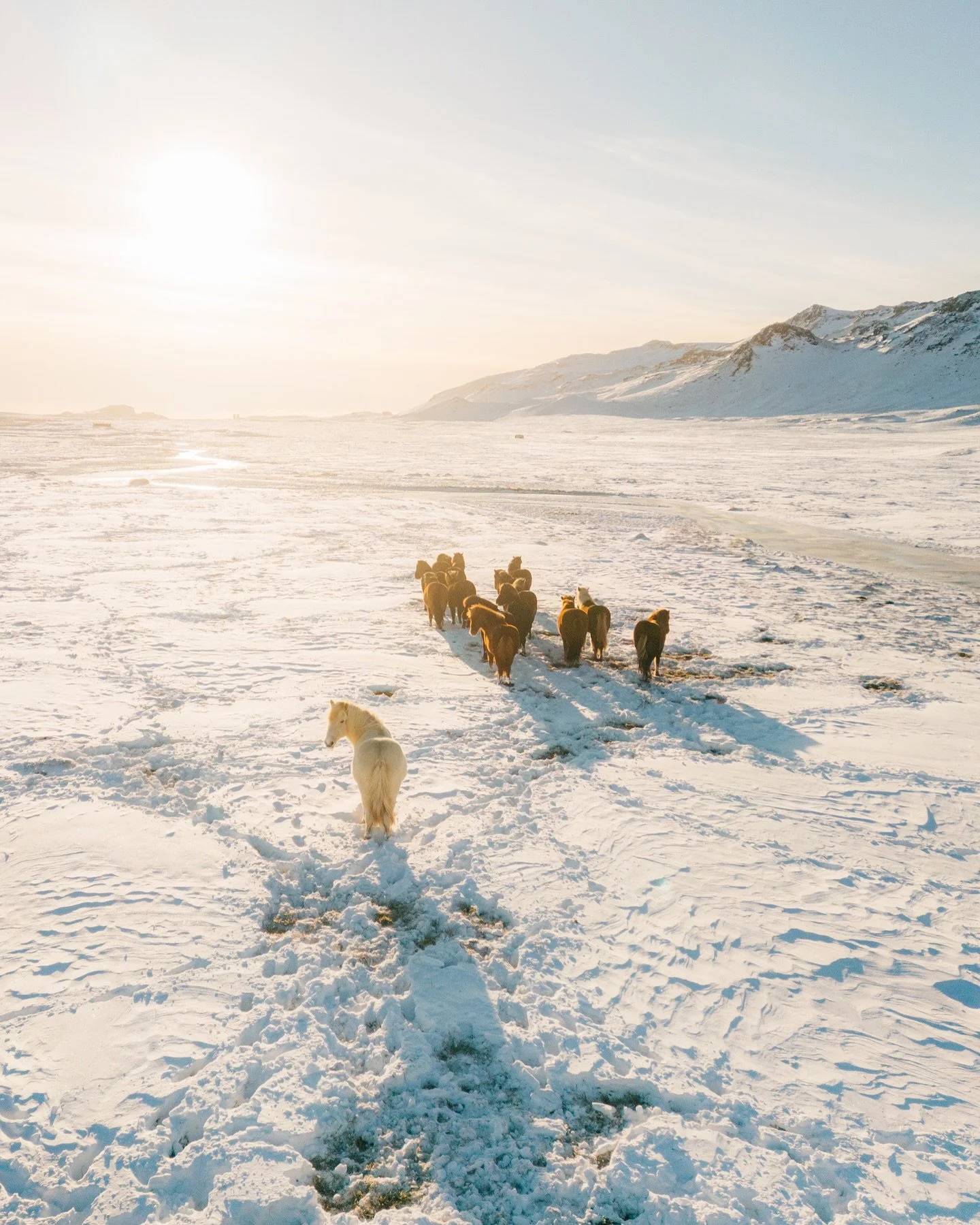 I think Iceland knows I can&rsquo;t stand winter, so it always prepares even colder weather for me out of pure mischief. 🙈

A few weeks ago it surprised me again with freezing temps and a record amount of snow, but honestly&hellip; what an unbelieva