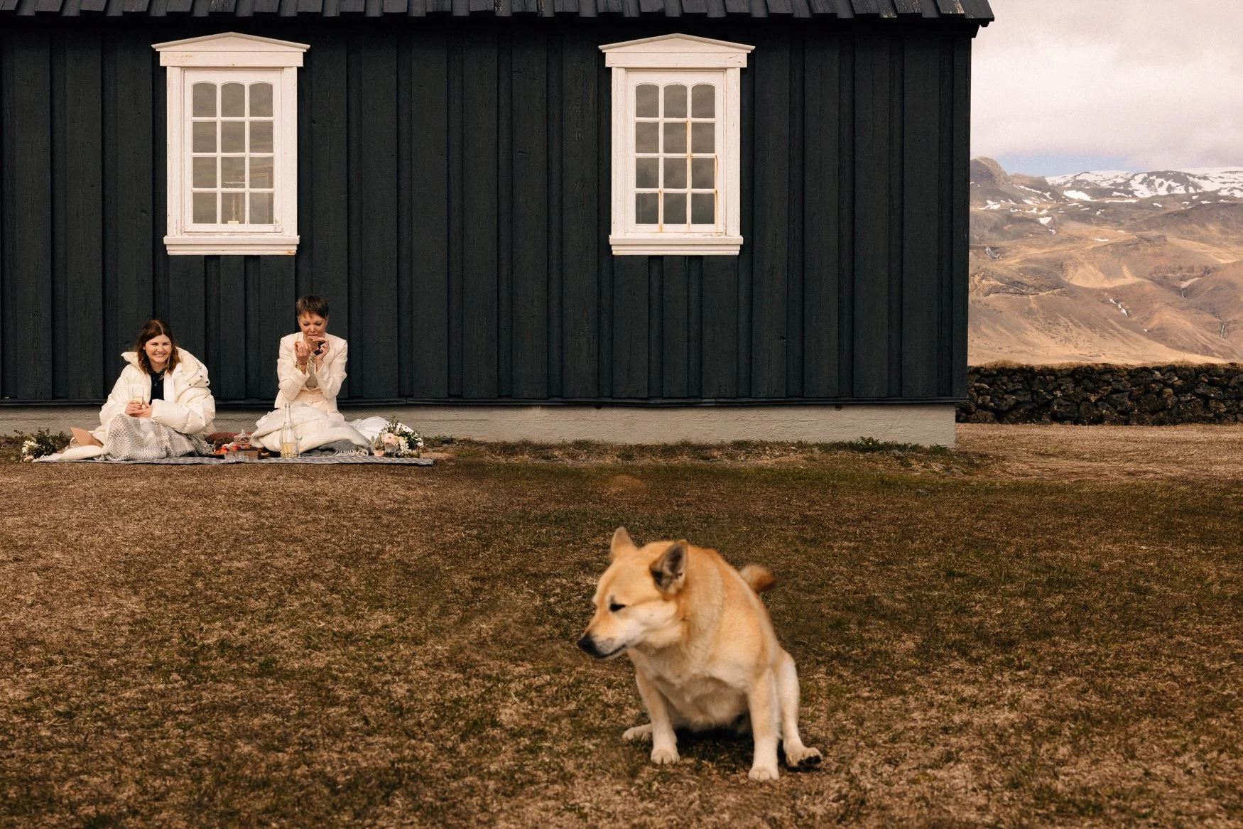083-funniest-wedding-photo-with-pooping-dog.jpg